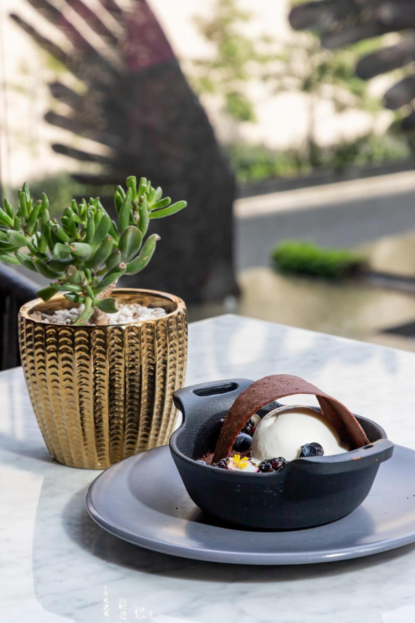 Hyatt Regency Andares Guadalajara Hotel Zapopan Exterior photo A plant in a gold pot